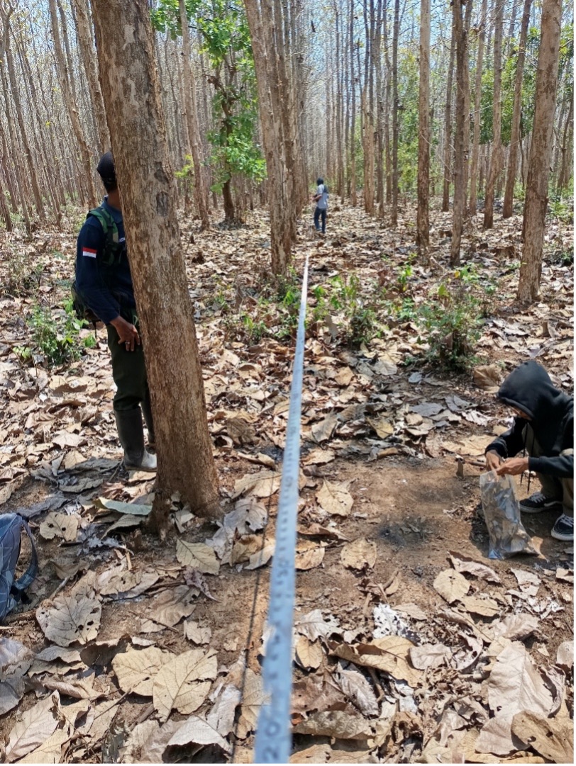 Sampling Picture